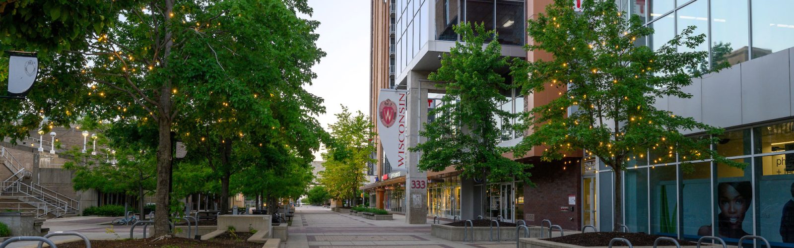 UW-Madison campus walkway in summer 2024.